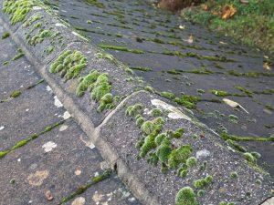 Ridge Tile Inspection Home Buyer Survey